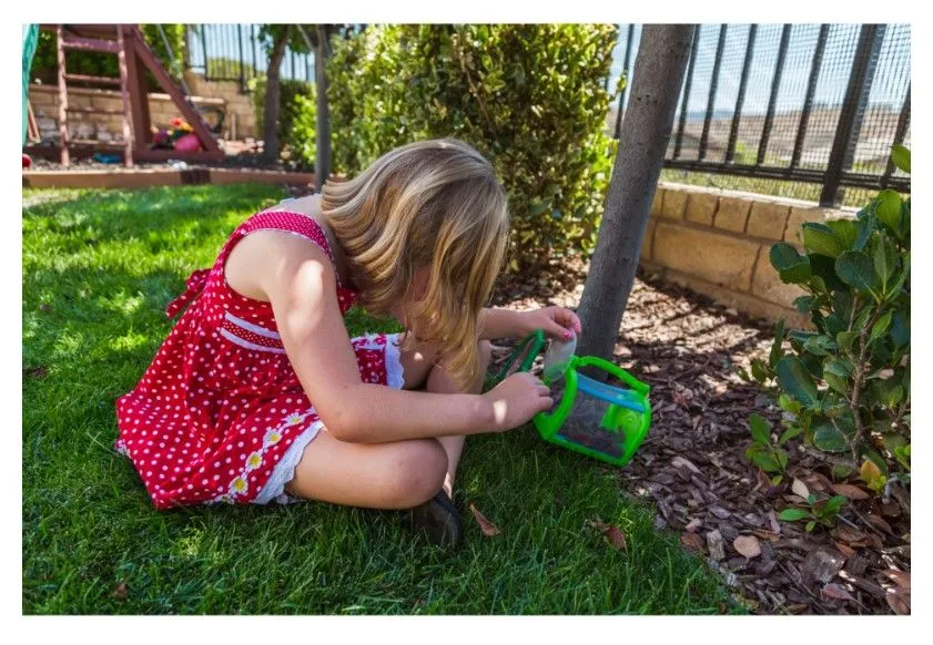 INSECT CATCHING KIT